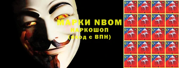 шишки Абаза