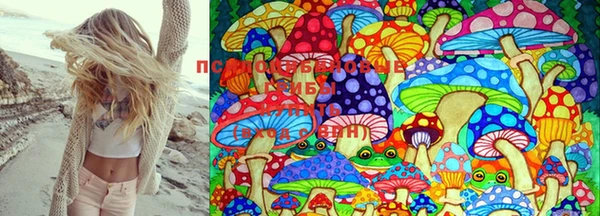 марки nbome Сатка
