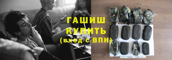гашик Гусь-Хрустальный