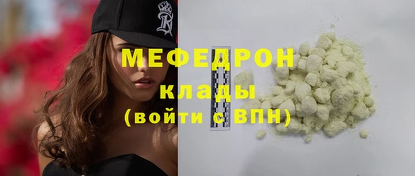 шишки Абаза
