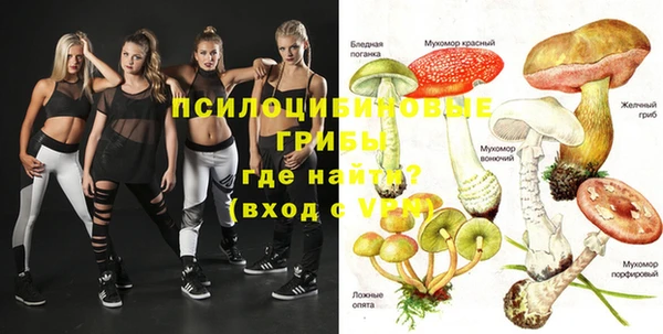 шишки Абаза
