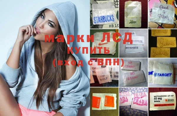 шишки Абаза