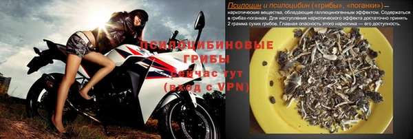 шишки Абаза