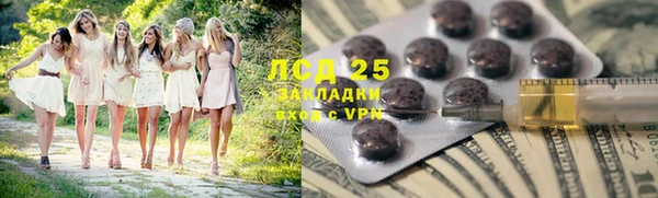 шишки Абаза