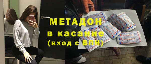 шишки Абаза