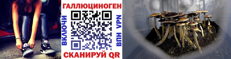 купить наркоту  Мосальск  Псилоцибиновые грибы Psilocybine cubensis 